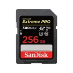 SanDisk 256GB Extreme Pro SDXC UHS-II Memory Card 300 MB/s - (SDSDXDK-256G-GN4IN)