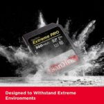 SanDisk 256GB Extreme Pro SDXC UHS-II Memory Card 300 MB/s - (SDSDXDK-256G-GN4IN)